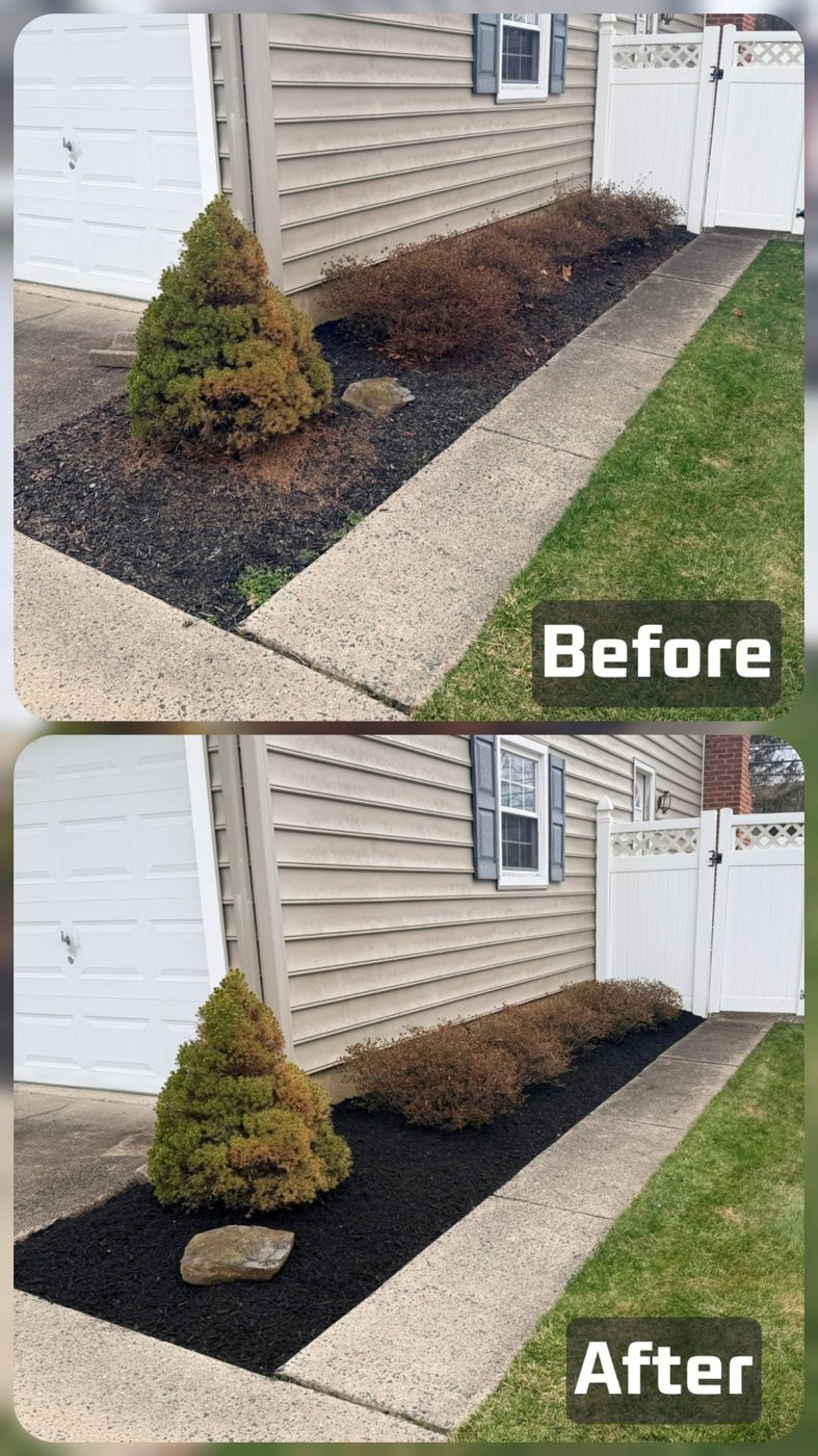 Before and after: a tired side-yard bed refreshed with new black mulch by NJ Bull